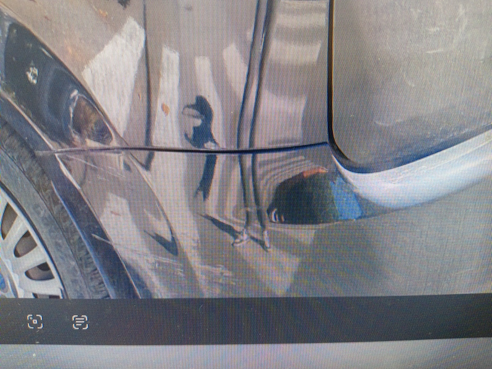 Card image cap